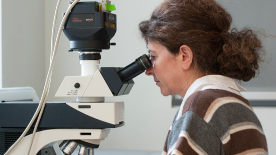 Person at microscope